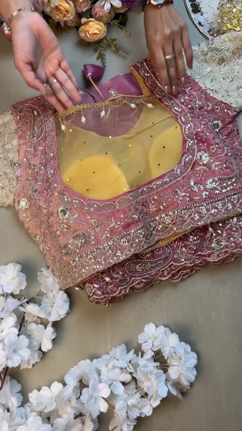 Opulent Paisley Embellished Organza Saree Set β Available in Rose Quartz & Cream - Image 3